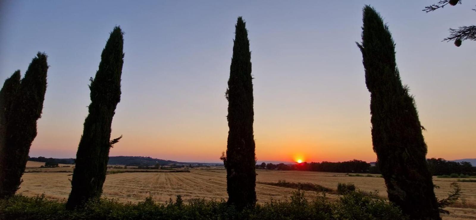 Agriturismo Il Canneto Casole dʼElsa Extérieur photo